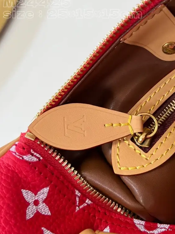 25 Vuitton Louis SPEEDY 0524